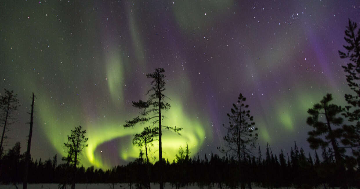 Northern Lights (aurora borealis) swirls across a starry night sky